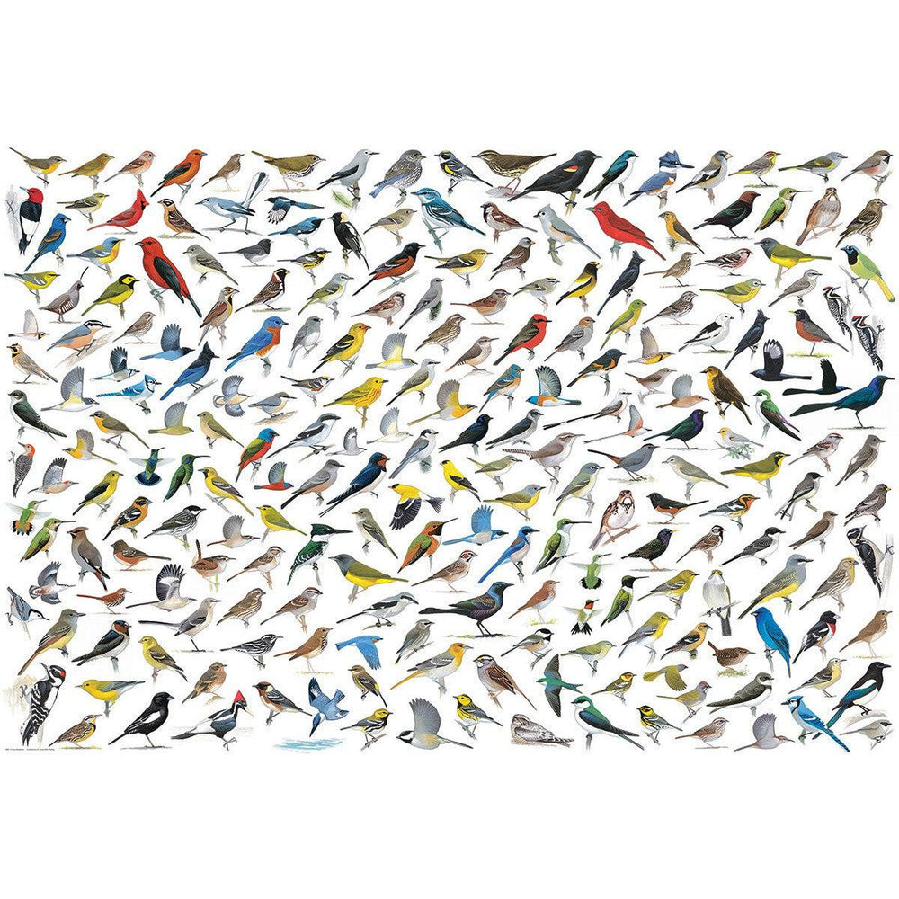 The World of Birds 2000 Piece Jigsaw Puzzle Eurographics (ONLINE ORDER ONLY)