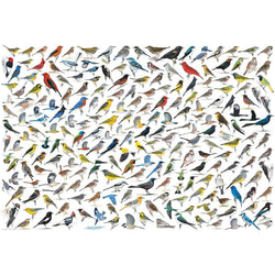 The World of Birds 2000 Piece Jigsaw Puzzle Eurographics (ONLINE ORDER ONLY)