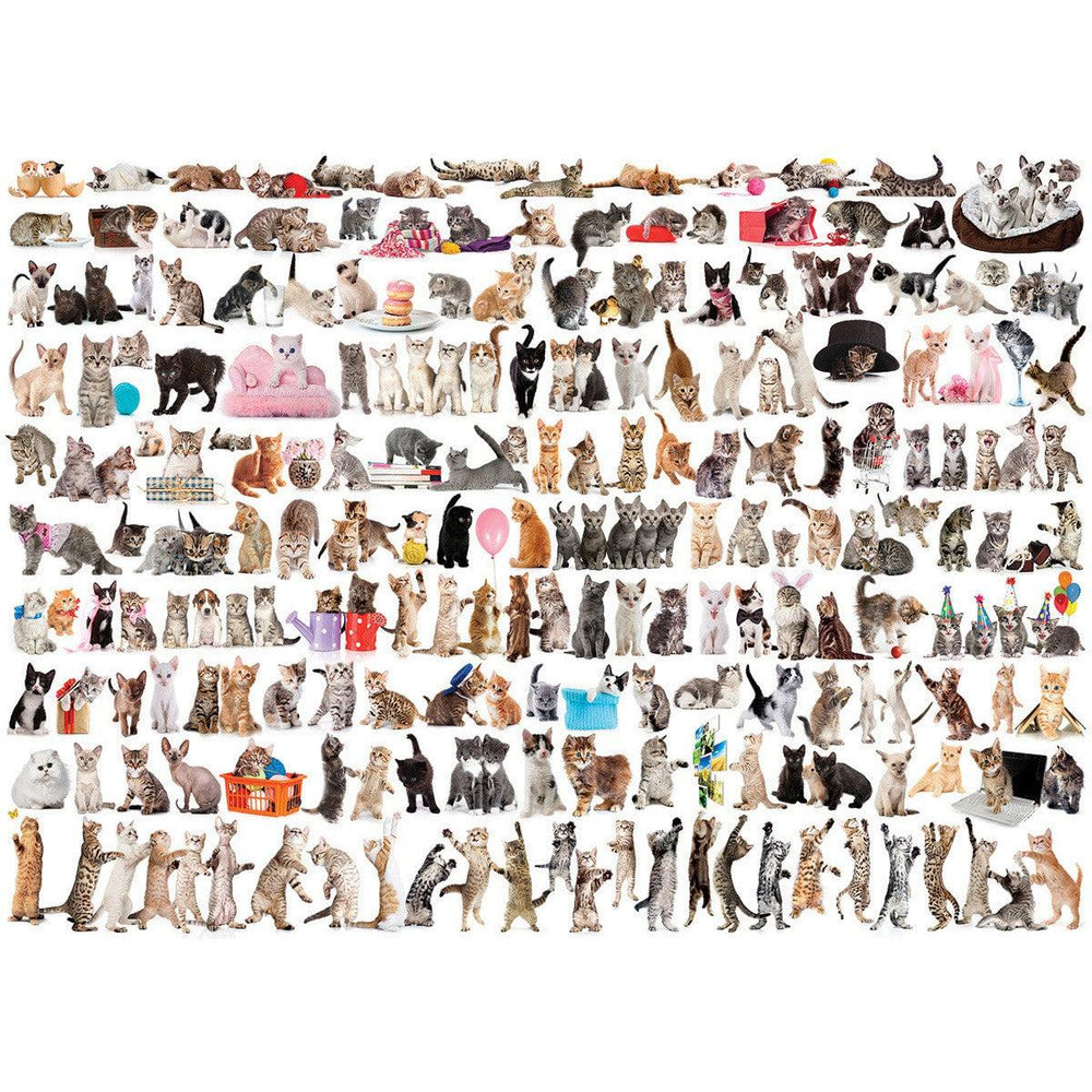 The World of Cats 1000 Piece Jigsaw Puzzle Eurographics (ONLINE ORDER ONLY)