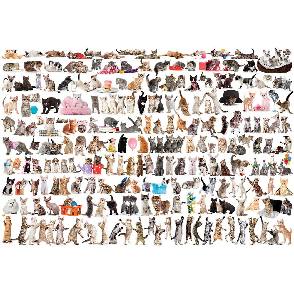 The World of Cats 2000 Piece Jigsaw Puzzle Eurographics (ONLINE ORDER ONLY)