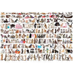 The World of Cats 2000 Piece Jigsaw Puzzle Eurographics (ONLINE ORDER ONLY)