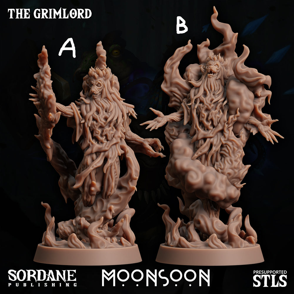 3D Printed Sordane Publishing The Grimlord 28 32mm D&D (Online Only)