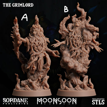 3D Printed Sordane Publishing The Grimlord 28 32mm D&D (Online Only)