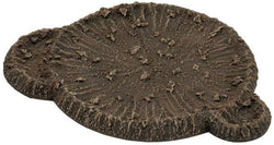 Flames of War: Large Craters and Ruined House (ONLINE ORDER ONLY)