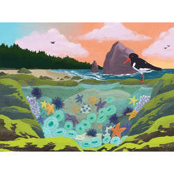 Tidepool by Elena Cronin 1000 Piece Jigsaw Puzzle Bridgetown