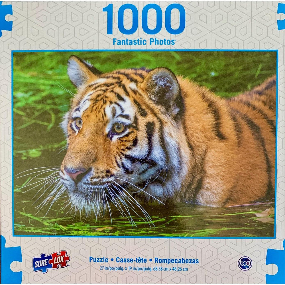 Tiger Whiskers Fantastic Photos 1000 Piece Jigsaw Puzzle Sure Lox (ONLINE ORDER ONLY)