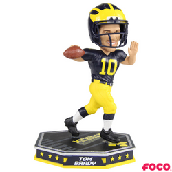 Removable Helmet Bobbleheads (ONLINE ORDER ONLY)