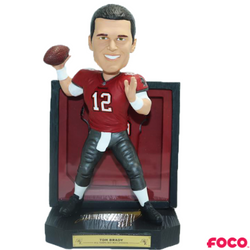 Framed Jersey Bobbleheads (ONLINE ORDER ONLY)