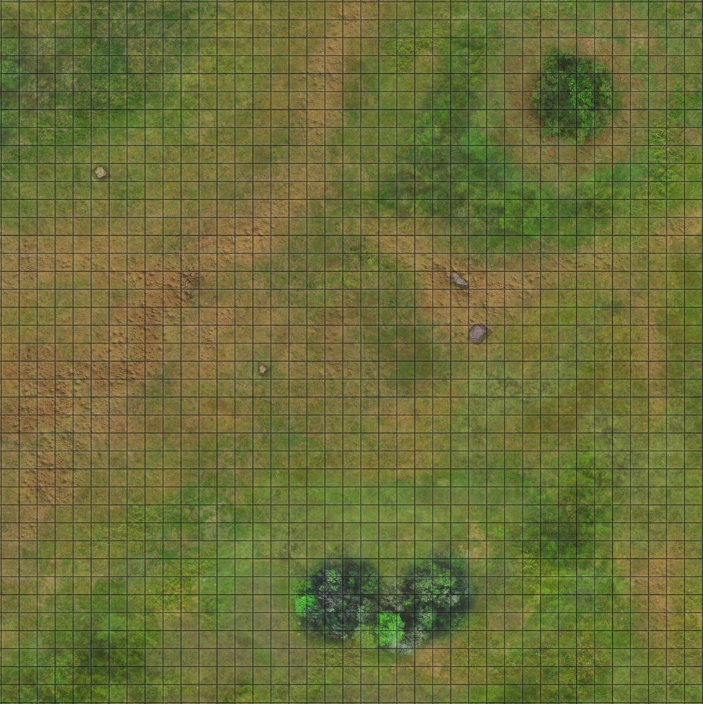RPG Grid Mat - Snowy Tundra & Traveler's Road - Double Sided Neoprene Mat with Bag (ONLINE ORDER ONLY)