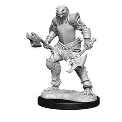 D&D: Nolzur's Marvelous Miniatures - Dragonborn Fighter Female (ONLINE ORDER ONLY)