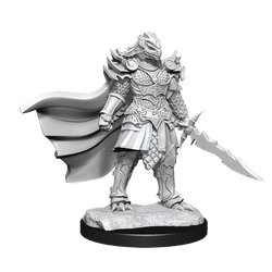 D&D: Nolzur's Marvelous Miniatures - Dragonborn Fighter Female (ONLINE ORDER ONLY)