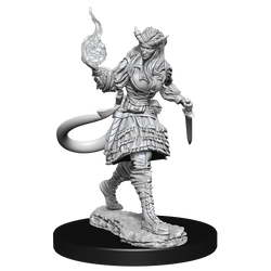 D&D: Nolzur's Marvelous Miniatures - Tiefling Sorcerer Female (ONLINE ORDER ONLY)
