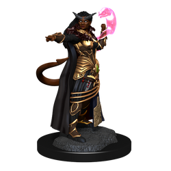 D&D: Nolzur's Marvelous Miniatures - Tiefling Sorcerer Female (ONLINE ORDER ONLY)