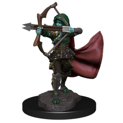 D&D: Nolzur's Marvelous Miniatures - Air Genasi Female (ONLINE ORDER ONLY)