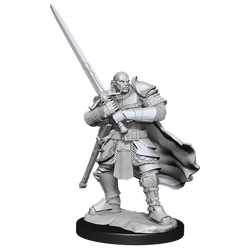 D&D: Nolzur's Marvelous Miniatures - Half-Orc Paladin Male (ONLINE ORDER ONLY)
