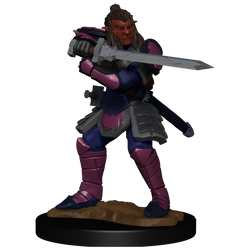 D&D: Nolzur's Marvelous Miniatures - Hobgoblin Fighter Male & Hobgoblin Wizard Female (ONLINE ORDER ONLY)