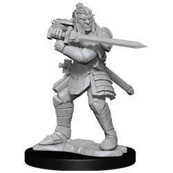 D&D: Nolzur's Marvelous Miniatures - Hobgoblin Fighter Male & Hobgoblin Wizard Female (ONLINE ORDER ONLY)