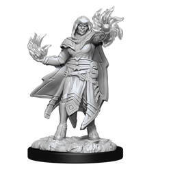 D&D: Nolzur's Marvelous Miniatures - Hobgoblin Fighter Male & Hobgoblin Wizard Female (ONLINE ORDER ONLY)