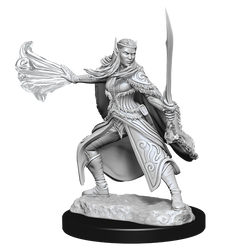 D&D: Nolzur's Marvelous Miniatures - Winter Eladrin & Spring Eladrin (ONLINE ORDER ONLY)