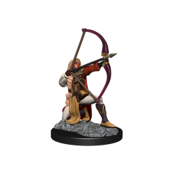 Pathfinder: Deep Cuts - Human Fighter Female (ONLINE ORDER ONLY)