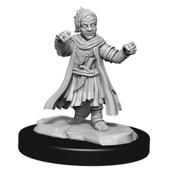 Pathfinder: Deep Cuts - Halfing Monk Male (ONLINE ORDER ONLY)