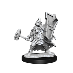 D&D: Frameworks - Dwarf Cleric Female (ONLINE ORDER ONLY)