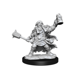D&D: Frameworks - Dwarf Cleric Female (ONLINE ORDER ONLY)