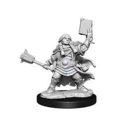 D&D: Frameworks - Dwarf Cleric Female (ONLINE ORDER ONLY)