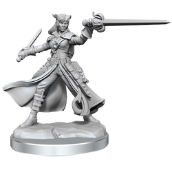 D&D: Frameworks - Tiefling Rogue Female (ONLINE ORDER ONLY)