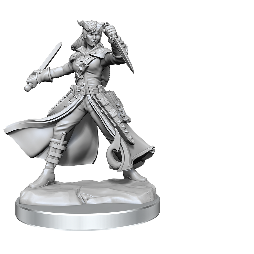 D&D: Frameworks - Tiefling Rogue Female (ONLINE ORDER ONLY)