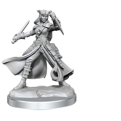 D&D: Frameworks - Tiefling Rogue Female (ONLINE ORDER ONLY)