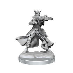D&D: Frameworks - Tiefling Rogue Female (ONLINE ORDER ONLY)