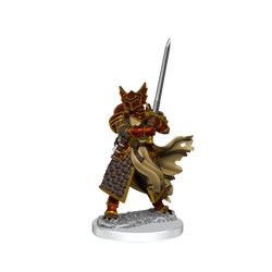 D&D: Frameworks - Dragonborn Paladin Male (ONLINE ORDER ONLY)