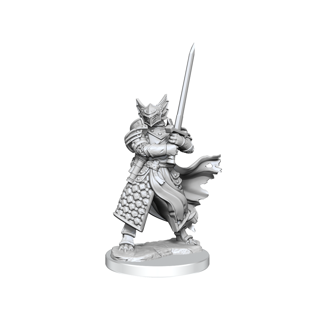 D&D: Frameworks - Dragonborn Paladin Male (ONLINE ORDER ONLY)
