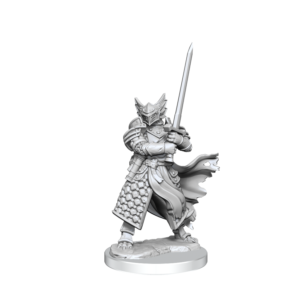D&D: Frameworks - Dragonborn Paladin Male (ONLINE ORDER ONLY)