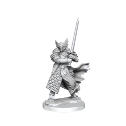 D&D: Frameworks - Dragonborn Paladin Male (ONLINE ORDER ONLY)