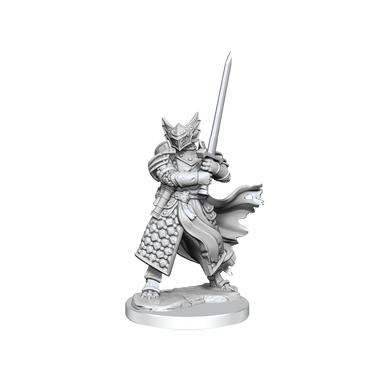 D&D: Frameworks - Dragonborn Paladin Male (ONLINE ORDER ONLY)