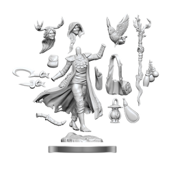 D&D: Frameworks - Human Druid Female (ONLINE ORDER ONLY)