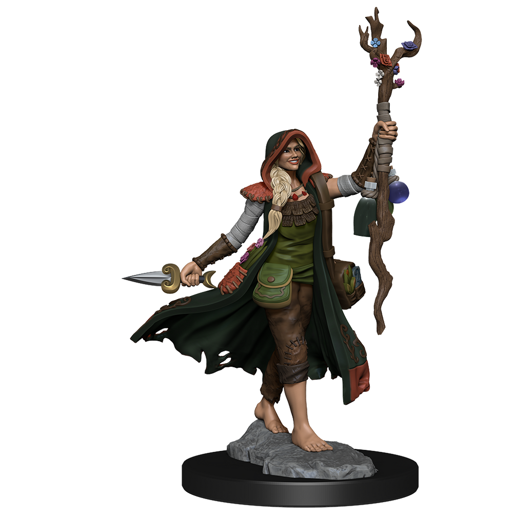 D&D: Frameworks - Human Druid Female (ONLINE ORDER ONLY)