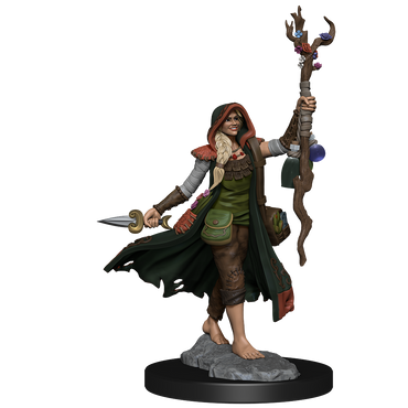 D&D: Frameworks - Human Druid Female (ONLINE ORDER ONLY)