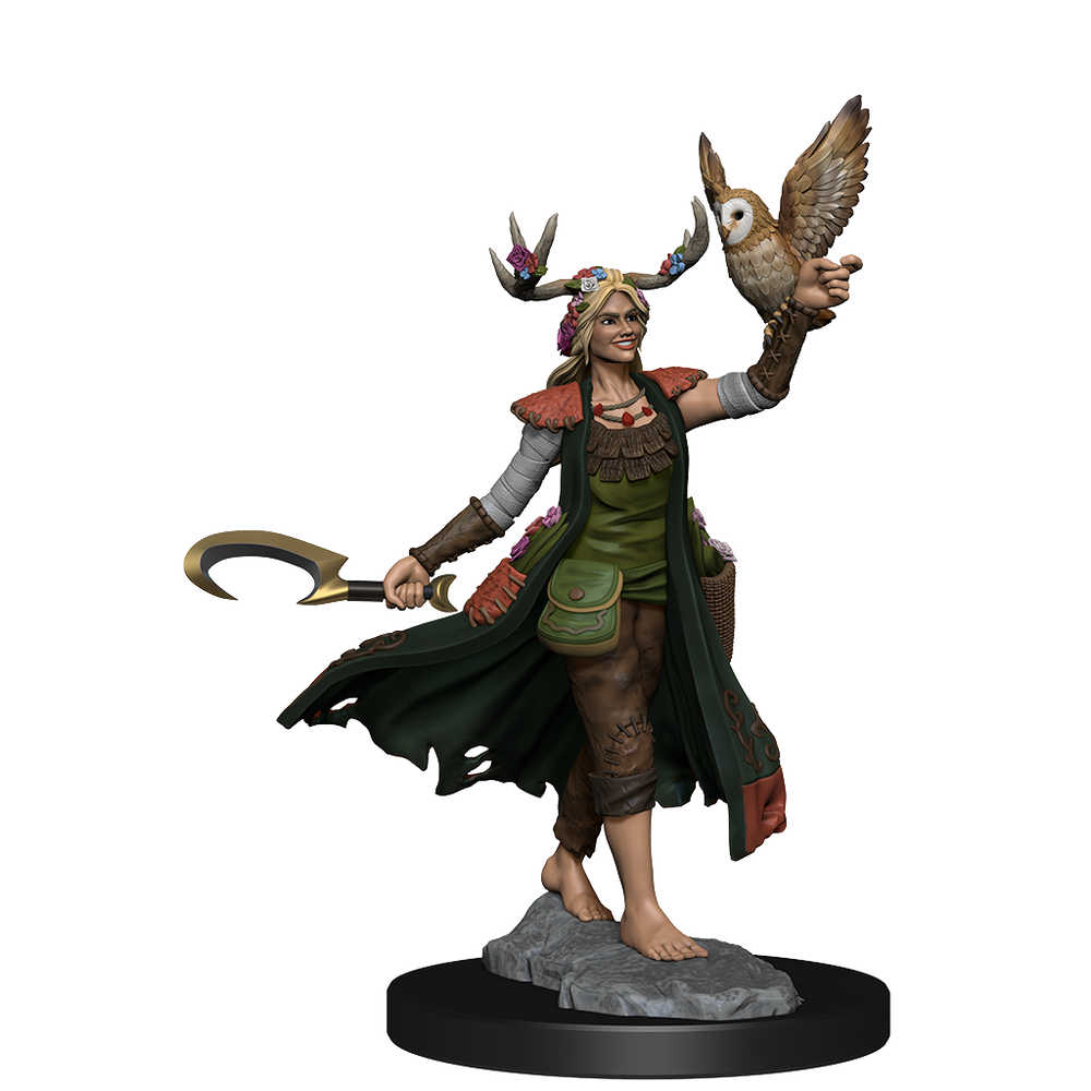 D&D: Frameworks - Human Druid Female (ONLINE ORDER ONLY)