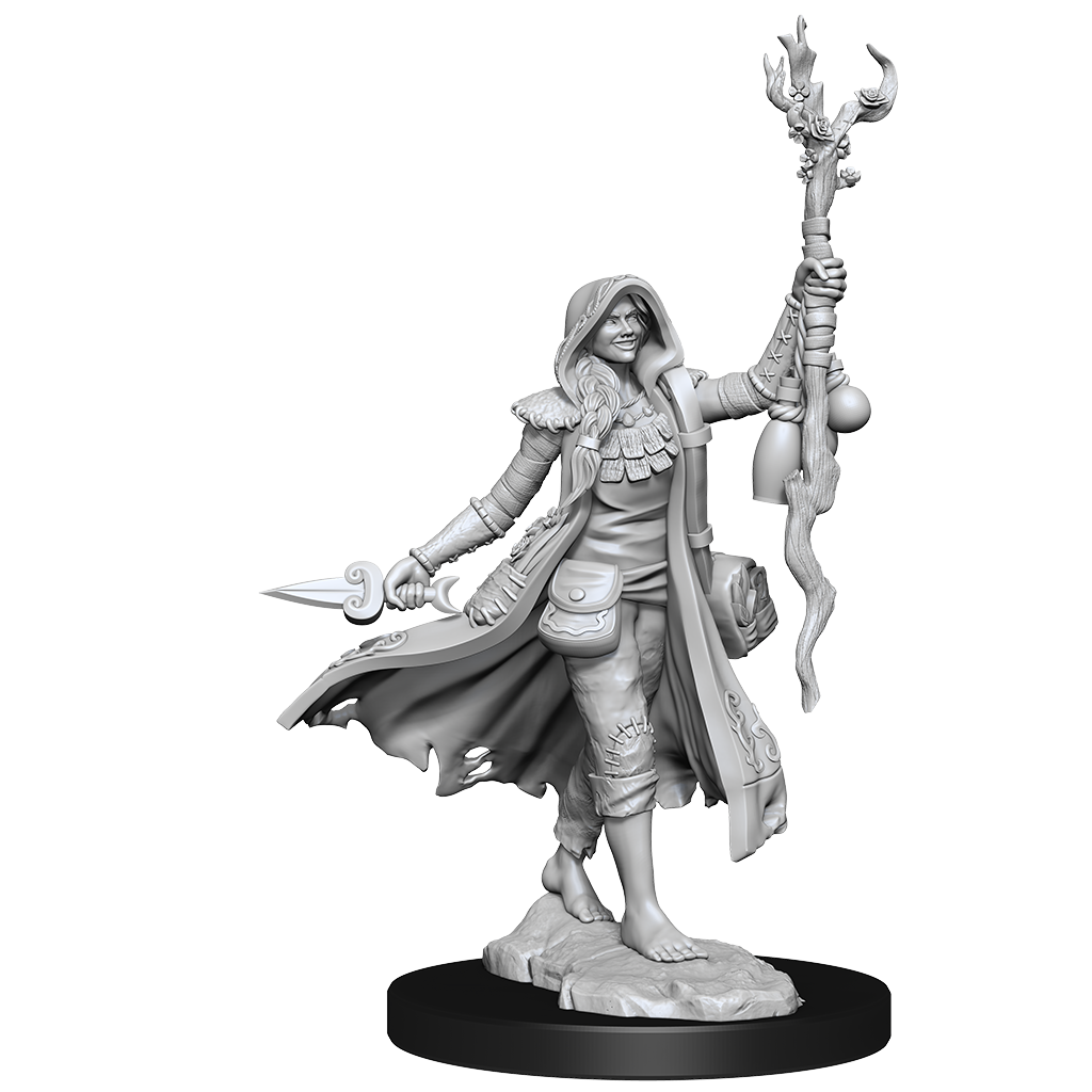 D&D: Frameworks - Human Druid Female (ONLINE ORDER ONLY)