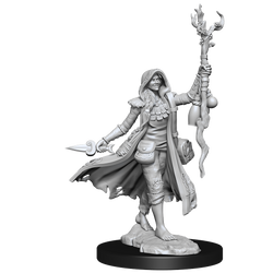 D&D: Frameworks - Human Druid Female (ONLINE ORDER ONLY)