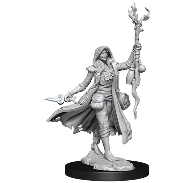 D&D: Frameworks - Human Druid Female (ONLINE ORDER ONLY)
