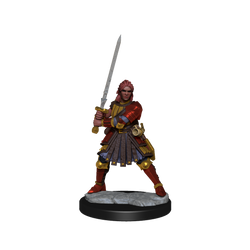 D&D: Frameworks - Human Fighter Female (ONLINE ORDER ONLY)