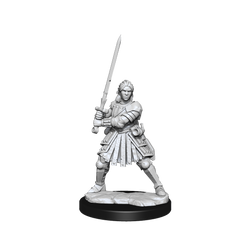 D&D: Frameworks - Human Fighter Female (ONLINE ORDER ONLY)