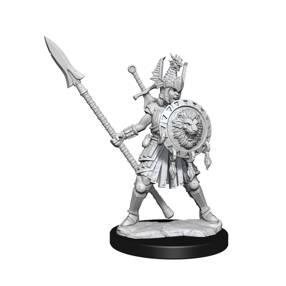 D&D: Frameworks - Human Fighter Female (ONLINE ORDER ONLY)