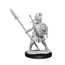 D&D: Frameworks - Human Fighter Female (ONLINE ORDER ONLY)