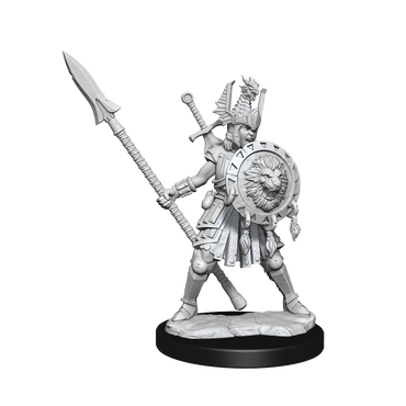 D&D: Frameworks - Human Fighter Female (ONLINE ORDER ONLY)