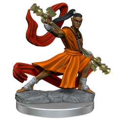 D&D: Frameworks - Elf Monk Male (ONLINE ORDER ONLY)